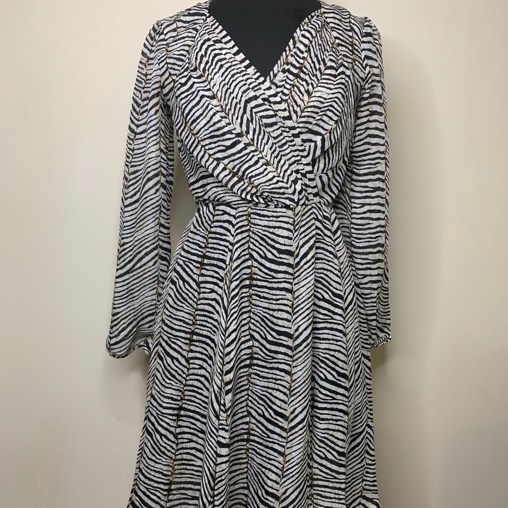 Knee length, long sleeve  chiffon dress